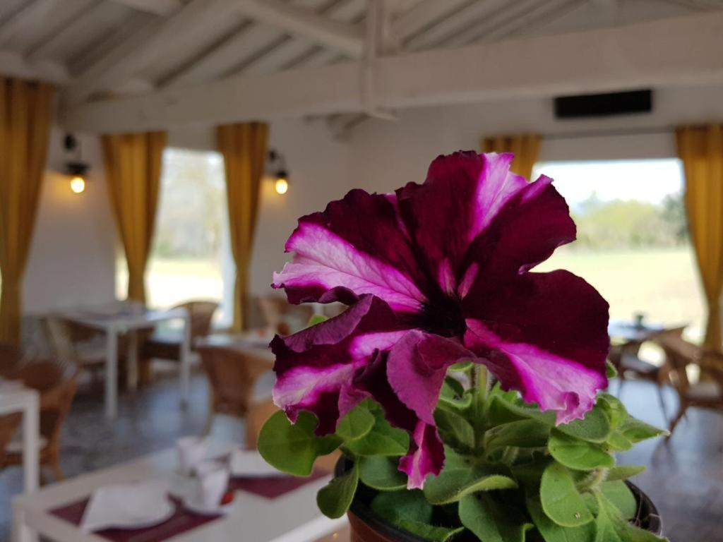 Hotel Valle Del Oja Casalarreina Extérieur photo